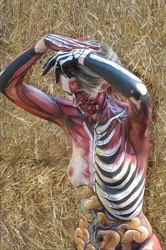 Body 06 Fr 205