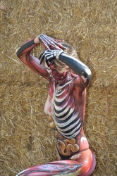Body 06 Fr 208