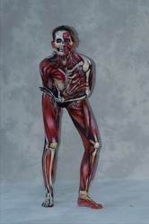 Body 06 Fr 210