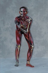 Body 06 Fr 211