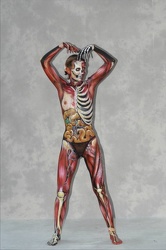 Body 06 Fr 215