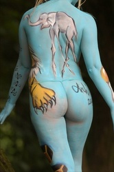 Body 06 Fr 403