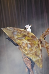 Body 09 Sonntag  3067