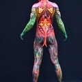 Airbrush Special Effects 1462