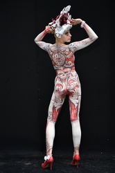 Airbrush Special Effects 1501
