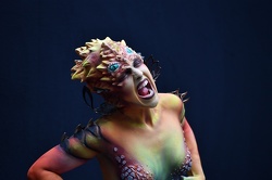 Airbrush Special Effects 1520