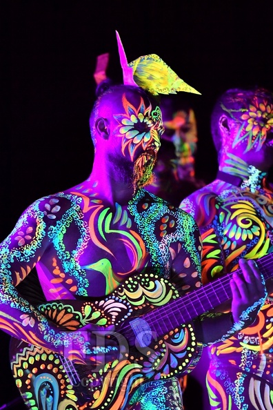 Fluoro_1282.jpg