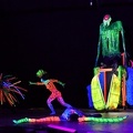 Fluoro 1294