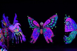 Fluoro 1314